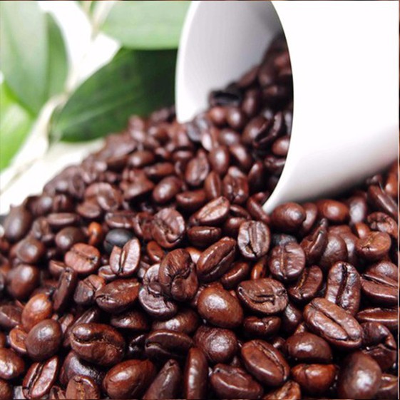 Cà phê đặc biệt Khám Phá Arabica và Robusta 500gr 4