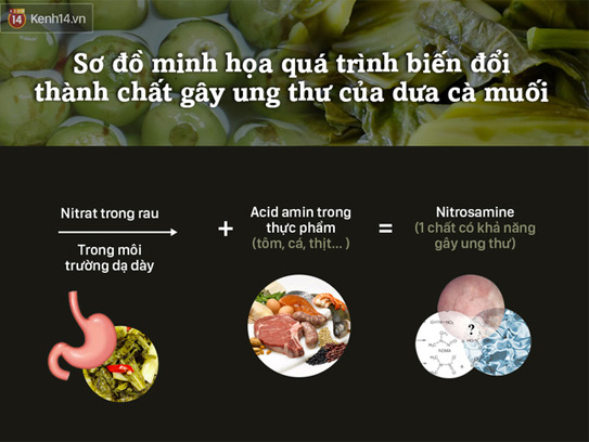 Ăn dưa muối gây ung thư: điều này chỉ xảy ra khi chúng ta không biết cách ăn - ảnh 2