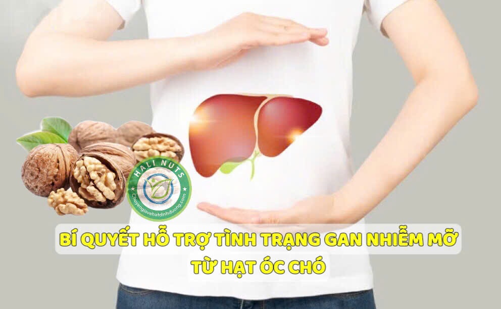 GAN NHIỄM MỠ CÓ ĂN ĐƯỢC QUẢ ÓC CHÓ KHÔNG?