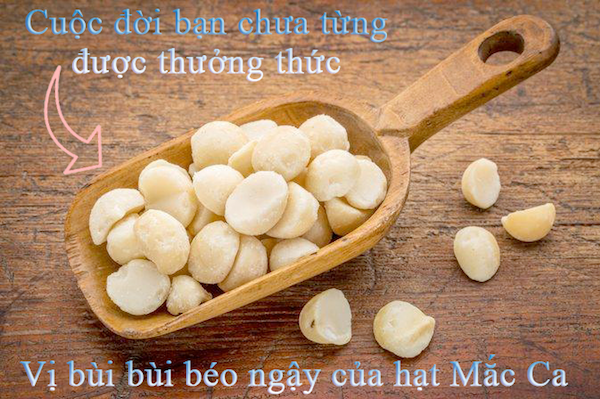 CUỘC ĐỜI BẠN CHƯA BAO GIỜ ĐƯỢC NHÂM NHI VỊ BÙI BÙI BÉO NGẬY CỦA HẠT MACCA ???