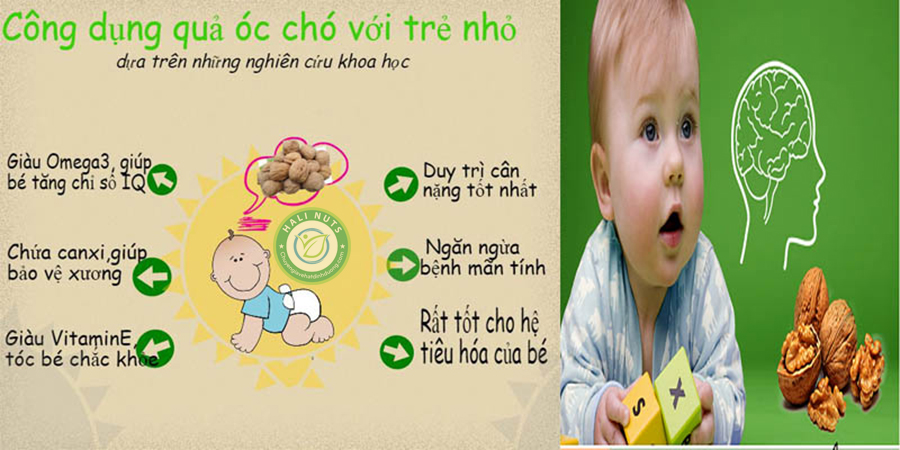 Lợi ích của quả óc chó đối với trẻ nhỏ như thế nào?